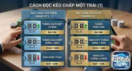 hướng dẫn sử dụng giải bóng đá hồng kông