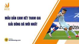 hướng dẫn sử dụng giai bong da nhat ban