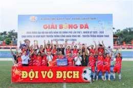 hướng dẫn sử dụng giai vo dich bong da nu uc