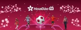 hướng dẫn sử dụng hoa dao tv bong da