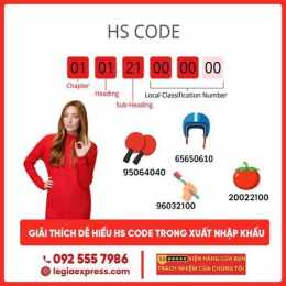 hướng dẫn sử dụng hs là gì trong bóng đá