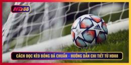 hướng dẫn sử dụng kèo bóng đa 88