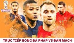 hướng dẫn sử dụng ket qa bong da phap