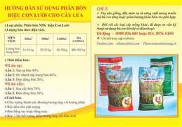 hướng dẫn sử dụng kìa lúa ngoài đồng giờ đã trổ bông