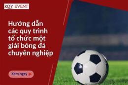 hướng dẫn sử dụng kq giải bóng đá chuyên nghiệp anh u21