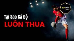 hướng dẫn sử dụng làm gì khi thua cá độ bóng đá