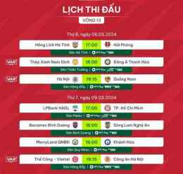 hướng dẫn sử dụng lich bong da nam dinh