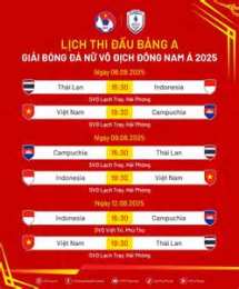 hướng dẫn sử dụng lich bong da viet nam 2025