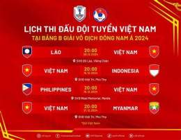 hướng dẫn sử dụng lịch thi đấu bóng đá nam aff