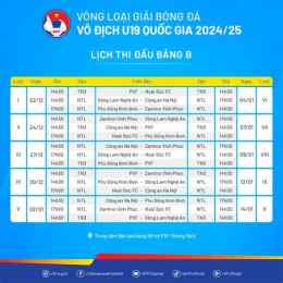 hướng dẫn sử dụng lịch thi đấu của giải bóng đá vô địch quốc gia 2024–25