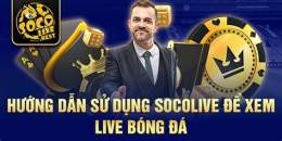 hướng dẫn sử dụng live bong da vap