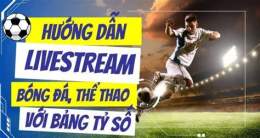 hướng dẫn sử dụng livestream bóng đá hôm nay