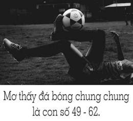 hướng dẫn sử dụng mơ thấy đá bóng đánh con gì