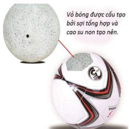 hướng dẫn sử dụng một quả bóng đá bao nhiêu tiền