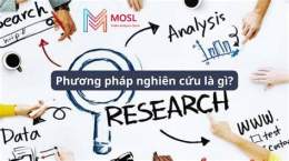 hướng dẫn sử dụng nghiên cứu bóng đá