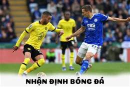 hướng dẫn sử dụng nhận định bóng đá leicester