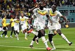 hướng dẫn sử dụng nhận định bóng đá nauy senegal