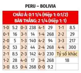 hướng dẫn sử dụng nhận định bóng đá peru