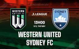 hướng dẫn sử dụng nhận định bóng đá sydney