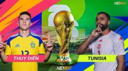 hướng dẫn sử dụng nhận định bóng đá thuỵ điển vs tunisia