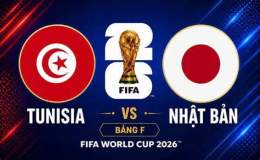 hướng dẫn sử dụng nhận định bóng đá tunisia