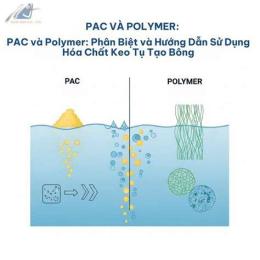 hướng dẫn sử dụng pac là gì trong bóng đá
