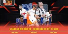 hướng dẫn sử dụng soi keo bóng đa