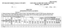hướng dẫn sử dụng tình hình bóng đá