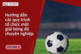 hướng dẫn sử dụng tổ chức giải bóng đá