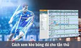 hướng dẫn sử dụng trang cá cược bóng đá mun