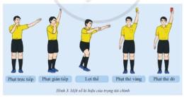 hướng dẫn sử dụng trọng tài bóng đá việt nam