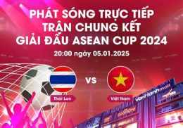 hướng dẫn sử dụng trục tiếp bóng đá việt nam thái lan