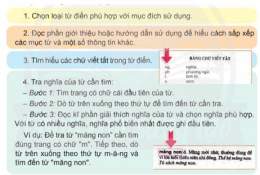 hướng dẫn sử dụng từ điển bóng đá