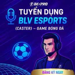 hướng dẫn sử dụng tuyển blv bóng đá