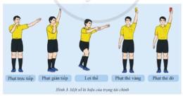 hướng dẫn sử dụng tuyên thệ trọng tài bóng đá