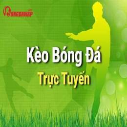 hướng dẫn sử dụng ty le bong da c1