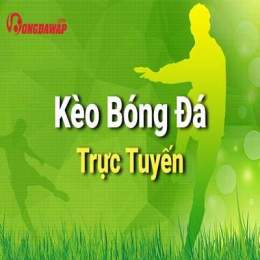hướng dẫn sử dụng ty le bong da crow