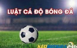 hướng dẫn sử dụng tỷ lệ bong đá hom nay