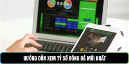 hướng dẫn sử dụng ty so bong da bỉ
