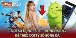 hướng dẫn sử dụng ty so bong da na uy