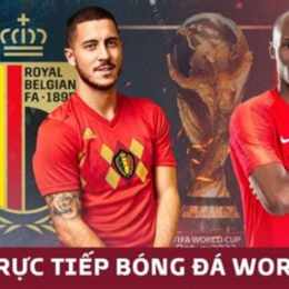 kết quả bóng đá bỉ bỉ