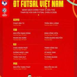 kết quả bóng đá futsal nam việt nam
