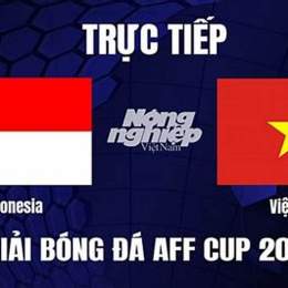 kết quả bóng đá việt nam indonesia hôm nay