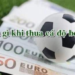 làm gì khi thua cá độ bóng đá