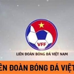 liên đoàn bóng đá indonesia