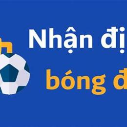 nhận định bóng đá can cup