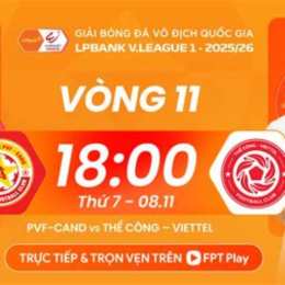 nhận định bóng đá tip vàng
