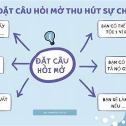 những câu hỏi về bóng đá