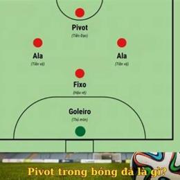pivot la gì trong bóng đá