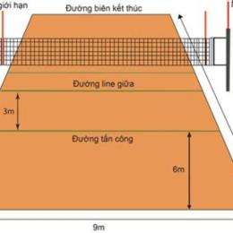 sân bóng chuyền da tiêu chuẩn